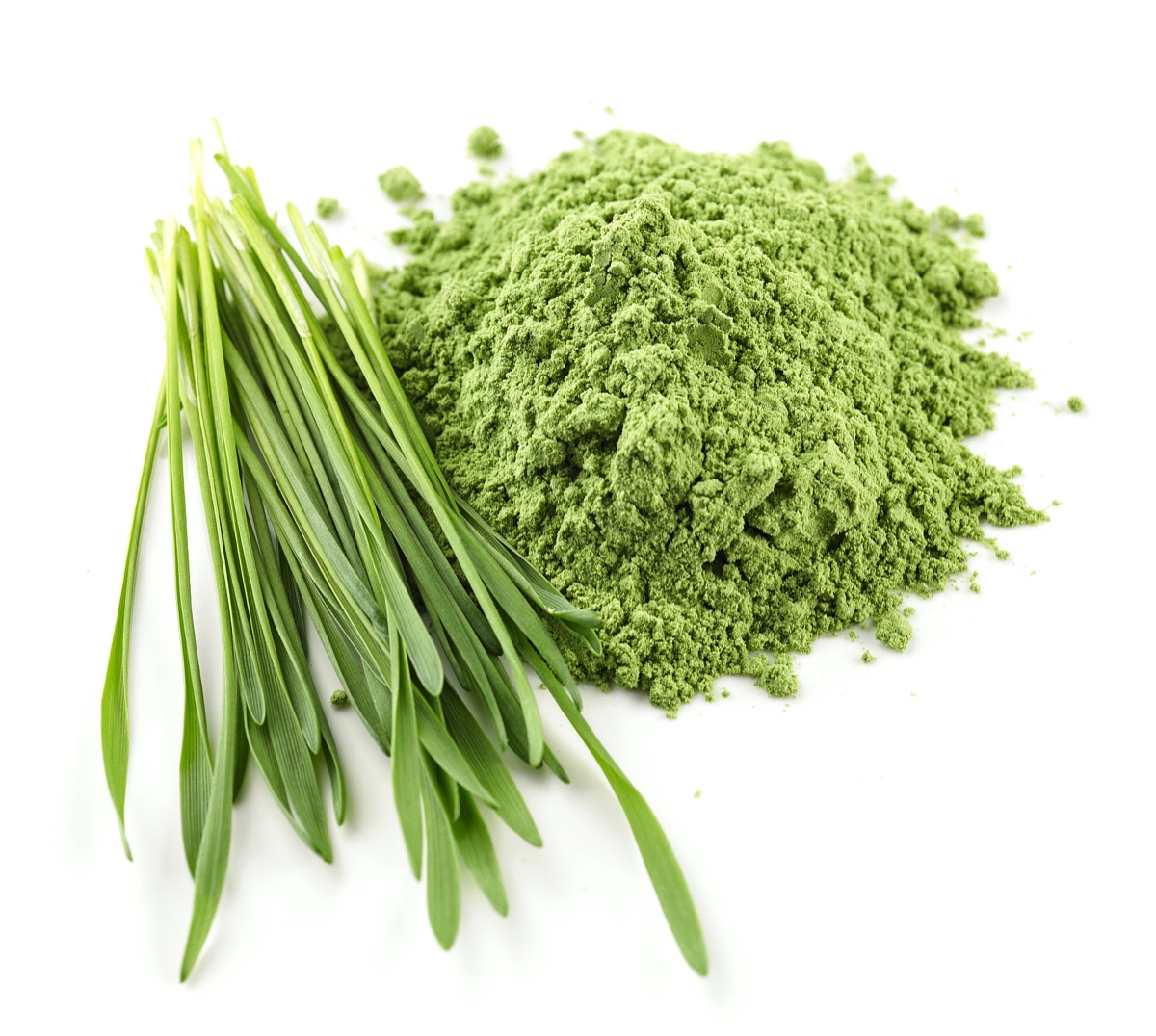 Barley grass powder